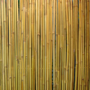 Rull bambusaed IN GARDEN D14/16mm
